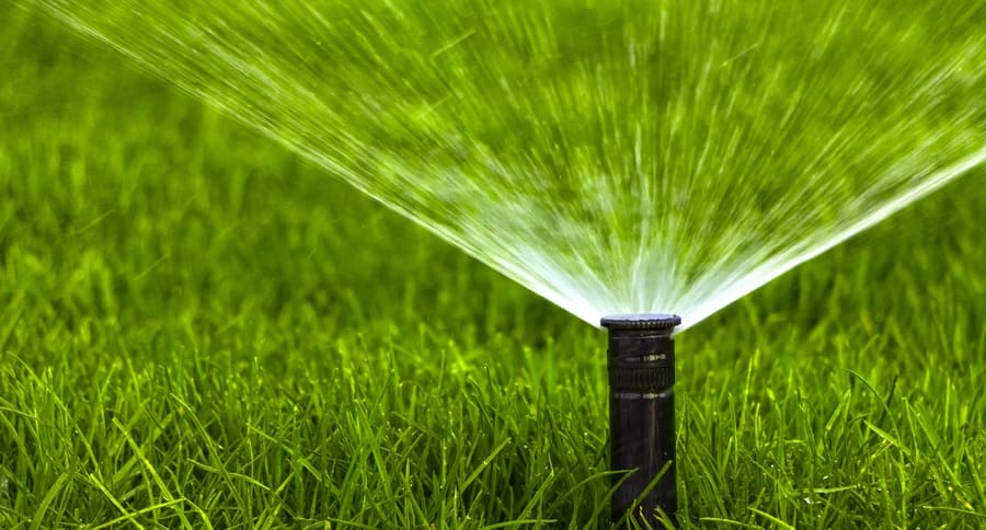 Custom Irrigation That Transforms Outdoor Spaces: A Smarter Investment for Modern Landscapes