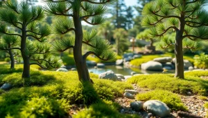 Pine bonsai trees showcasing vibrant growth and serenity in a lush green landscape, highlighting BOTOL169.